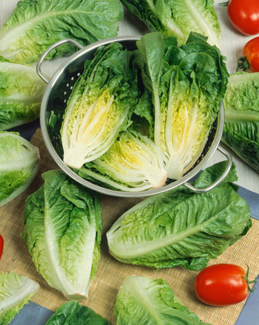 Little Caesar Lettuce Seeds